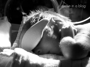 Courtesy: Genie in a Blog