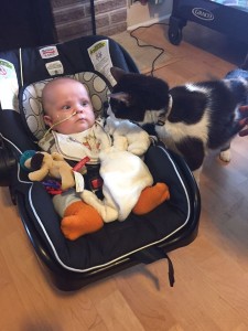 Theo meets James Dean the cat on his first day home from the hospital. Photo credit// Danielle Dreger