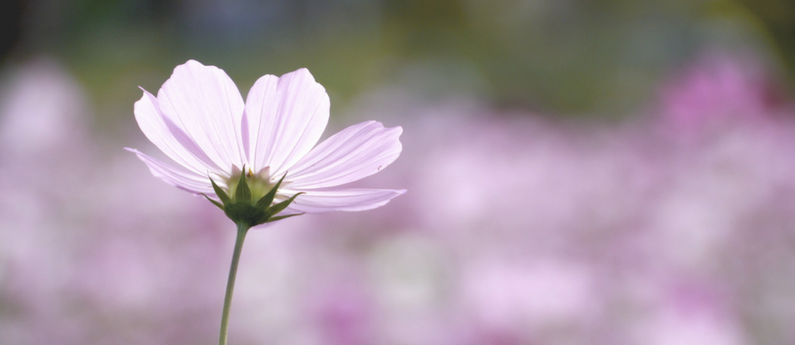 How To Support A Bereaved Parent Hand To Hold