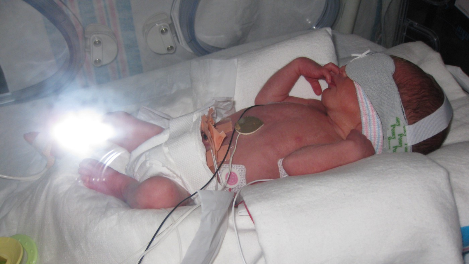 NICU baby, NICU support, NICU family, hand to hold, baby in isolette