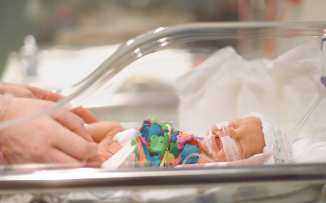 Occupational Therapy in the NICU and Beyond