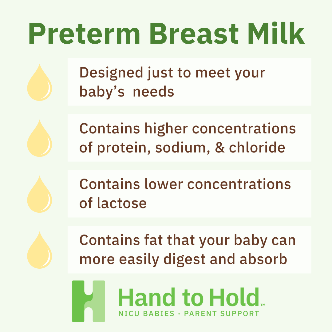 Preterm Breast Milk, breastfeeding in the NICU, hand to hold