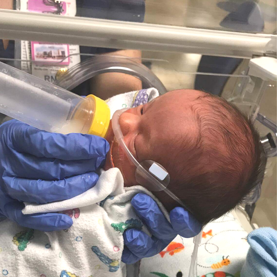 Nutrition in the NICU Nutrition in the NICU, hand to hold, NICU basics