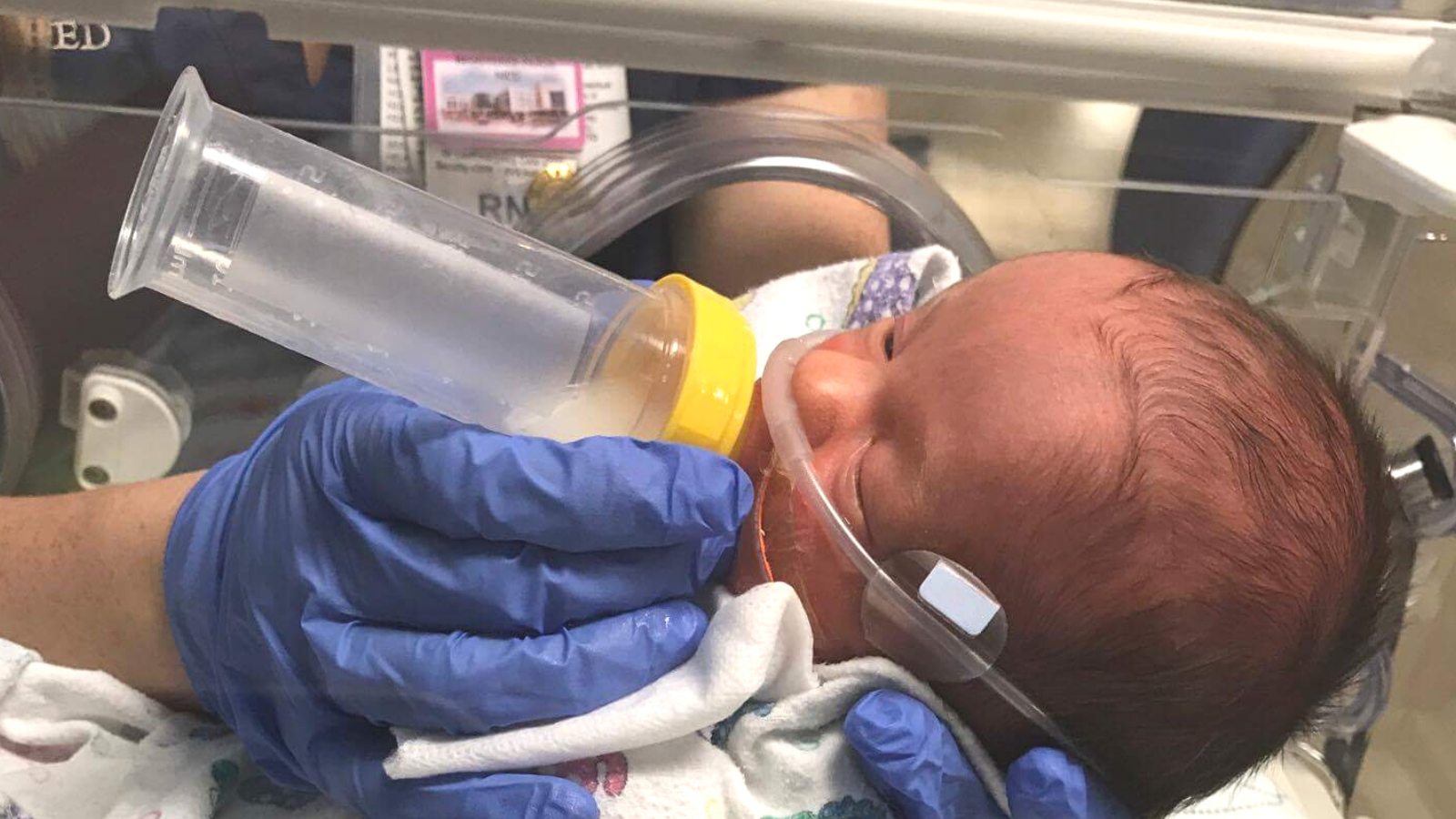 nutrition in the NICU, hand to hold