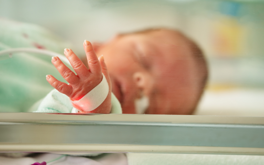 Hand to Hold Letter Series: A Hand to Hold for the Foster/Adoptive Parents Navigating a NICU Stay