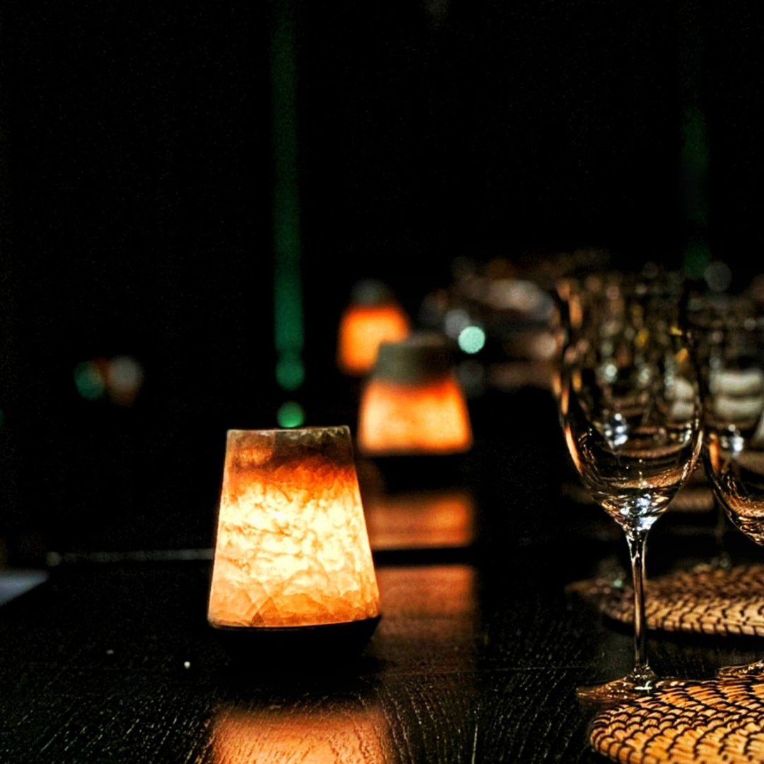 Hand to Hold Hope gala