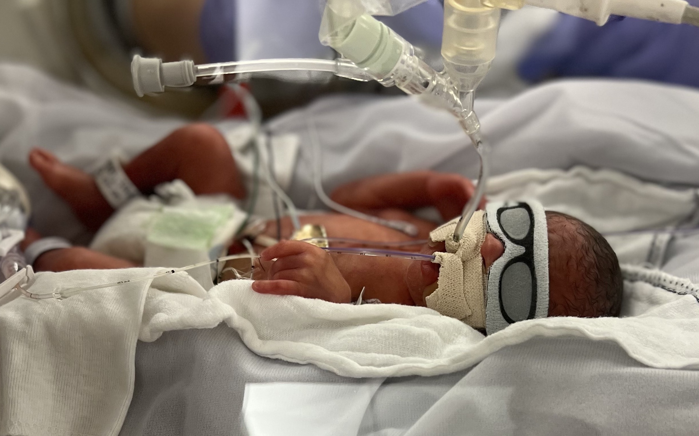 Hand to Hold, long NICU stay, micropreemie